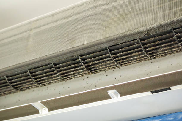 Best Ductwork Cleaning Services  in Endicott, NY